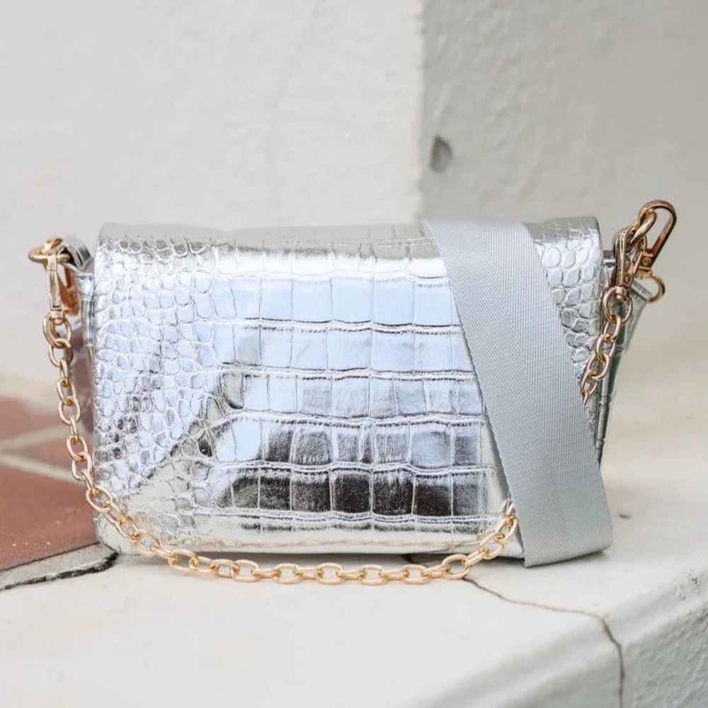 Caroline Hill Dakota Platinum Crossbody ntw